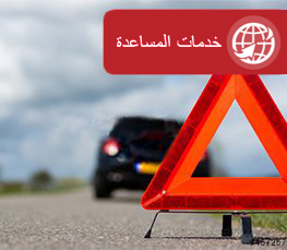 الخدمات المساعدة